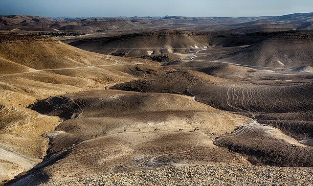 Israeli desert