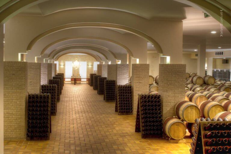 falesco-winery-tour-roma-luxury-2
