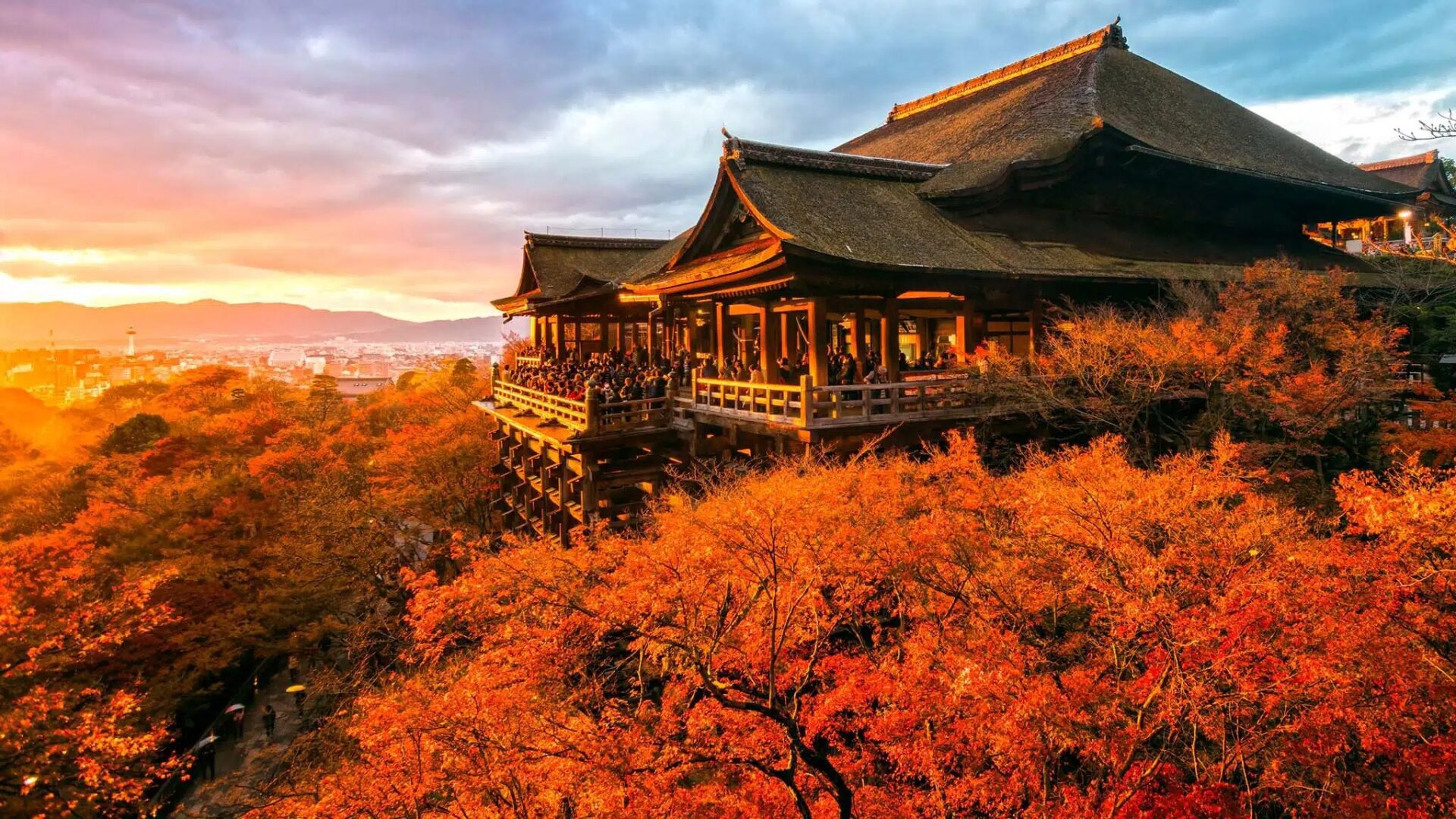 imgi_13_kyoto-Autumn-1020x1080-1