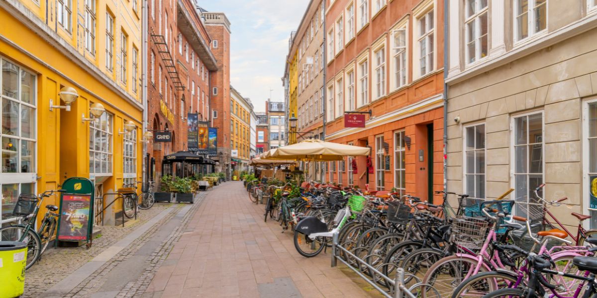 Embrace a Wider Jewish Cultural Experience