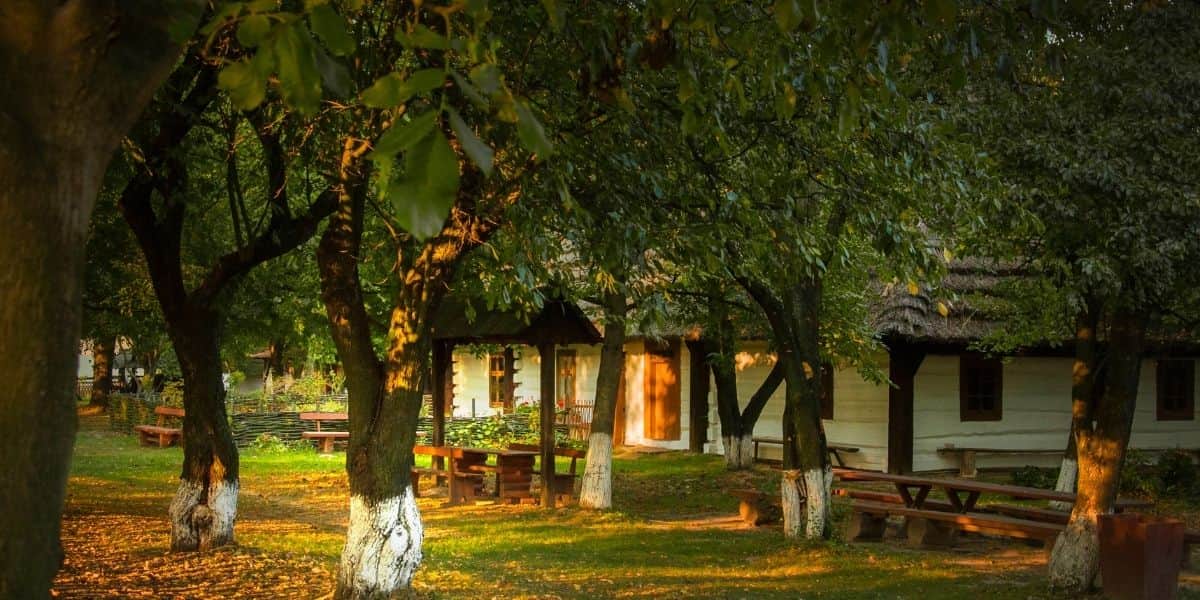 Explore the old Jewish history in Poland