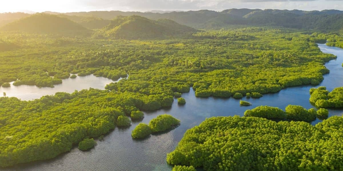 The Jungle is great for Family tours in South America