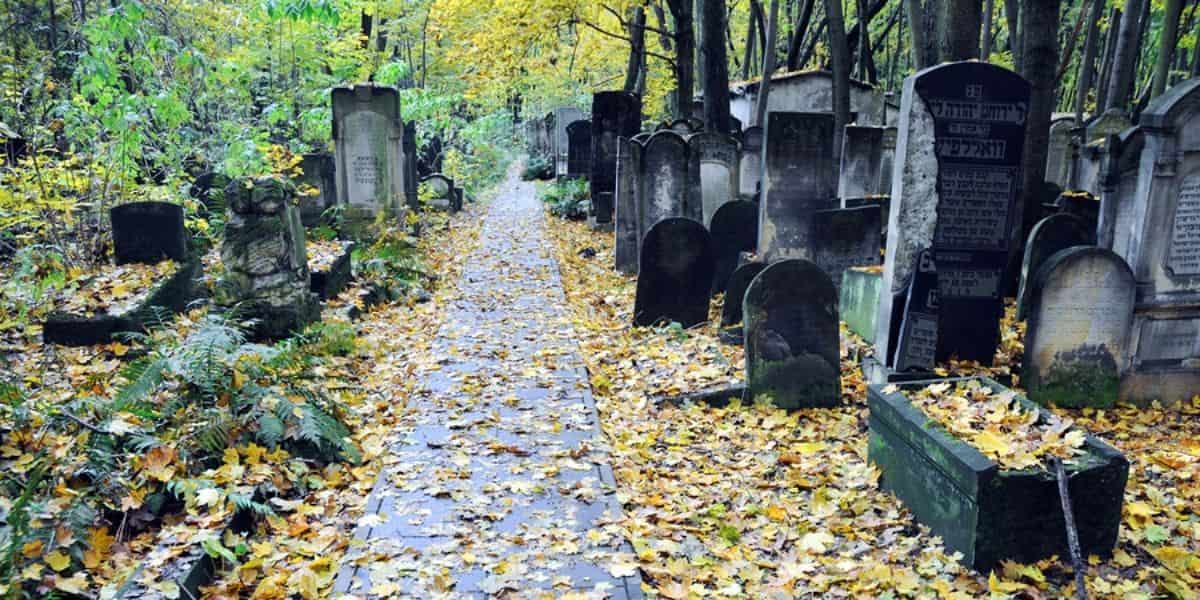 Warsaw Visit for the jewish history