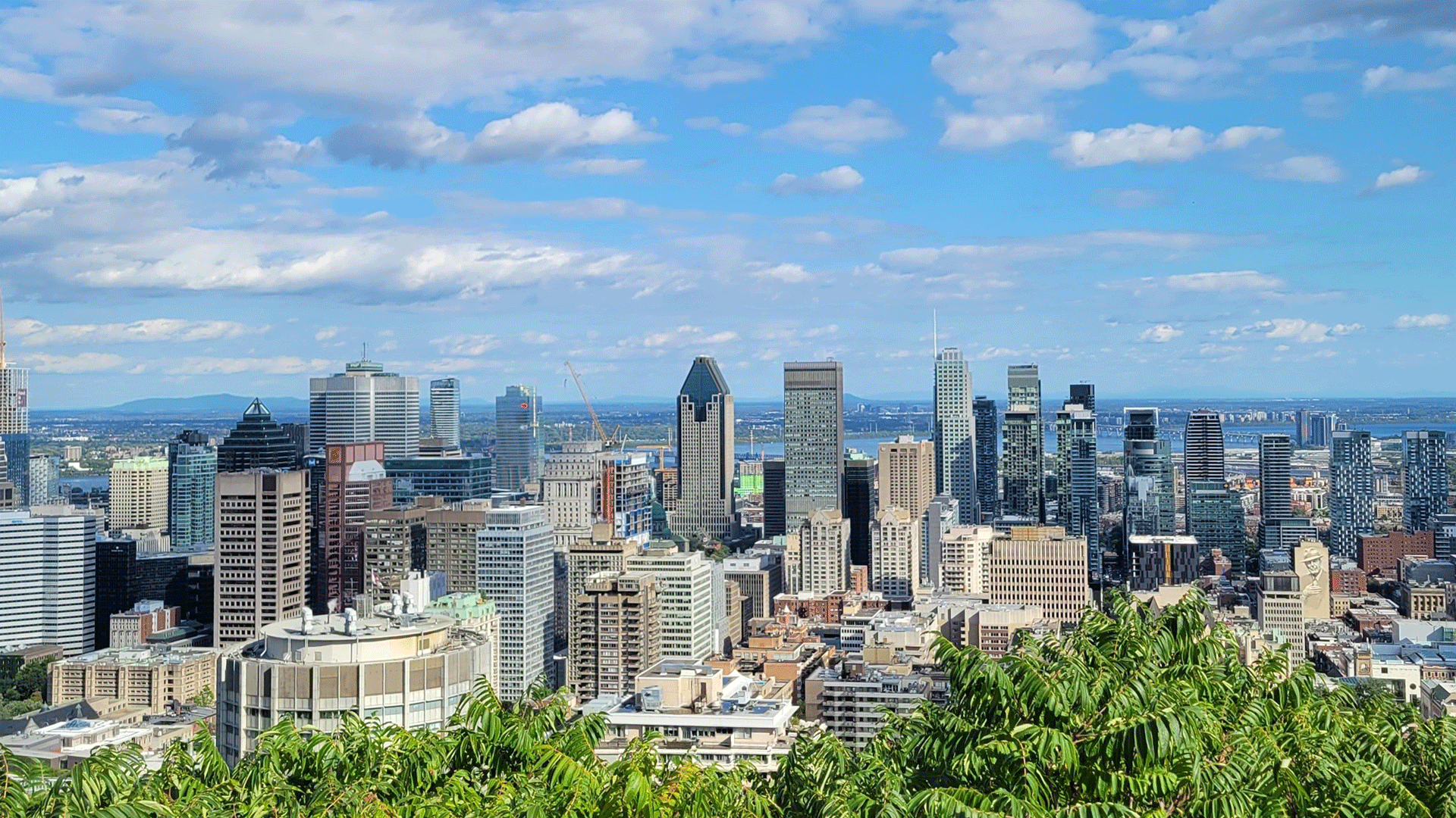 Montreal-from-Mount-Royal